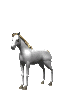 cheval blanc
